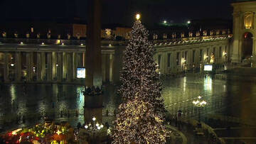 L’albero di Andalo illumina Piazza San Pietro
