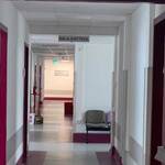 Immagine: cdca 2