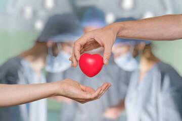 L’11 aprile è la Giornata nazionale per la donazione di organi e tessuti 