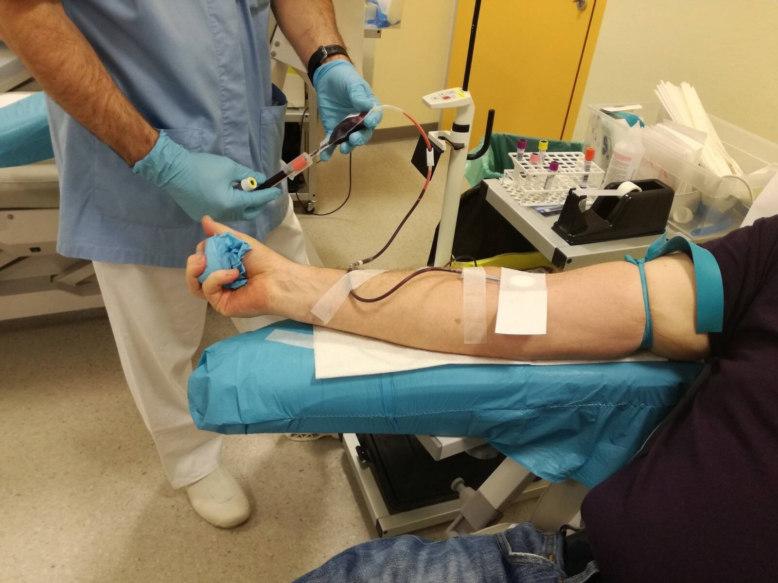 Immagine: donazioni sangue