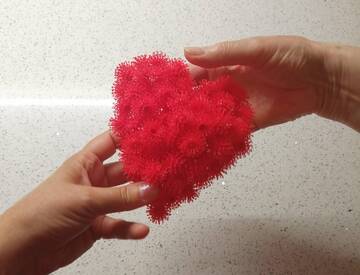 Domani è la Giornata nazionale per la donazione di organi e tessuti Domani è la Giornata nazionale per la donazione di organi e tessuti