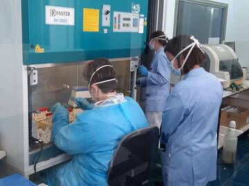 Coronavirus: dal bollettino del 13 gennaio 2021