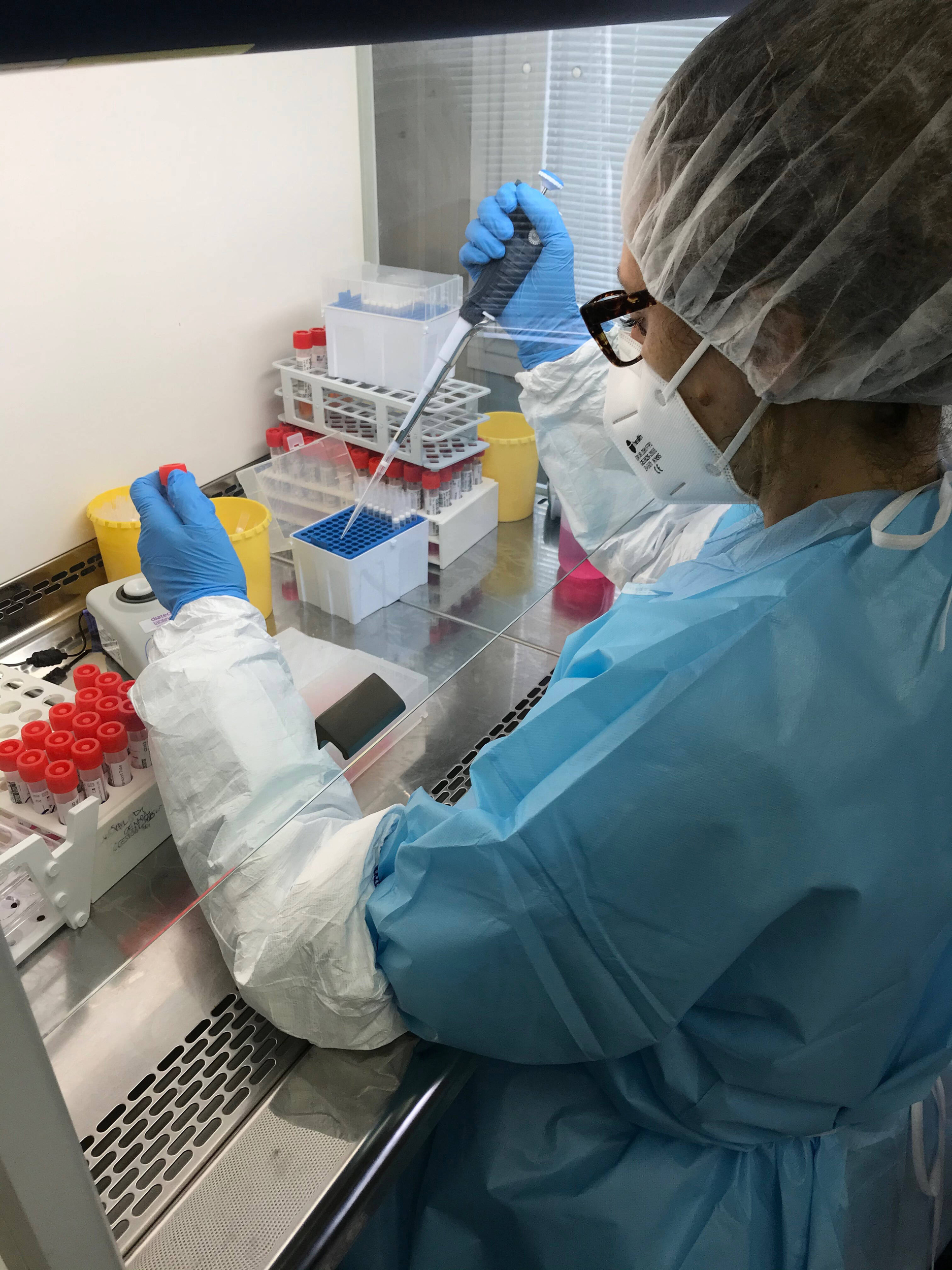 Immagine: Laboratori FEMC19FEM FF sotto cappa con tampone (1)