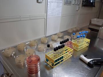Rovereto: sospetta intossicazione alimentare tra i dipendenti Apss