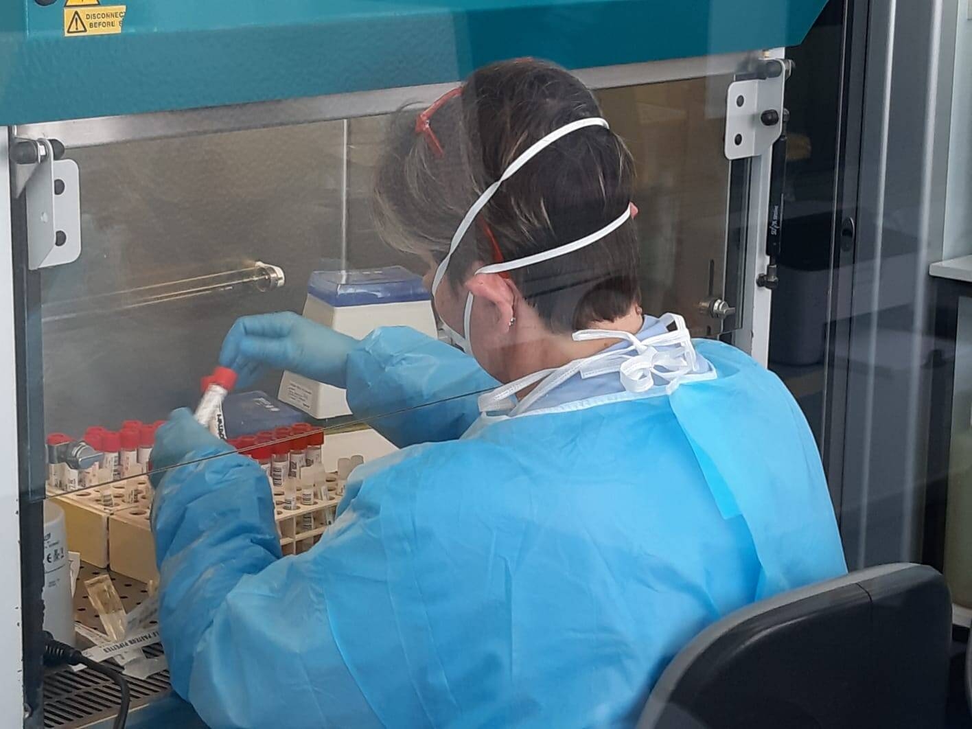 Immagine: Laboratorio microbiologia Trento