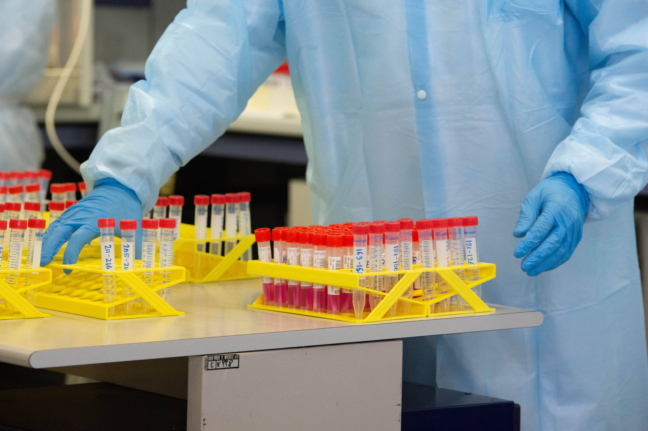 Immagine: Laboratorio tamponi Covid