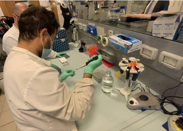 Coronavirus: la situazione di domenica 10 gennaio 2021
