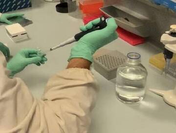 Coronavirus: dal report di martedì 19 gennaio 2021