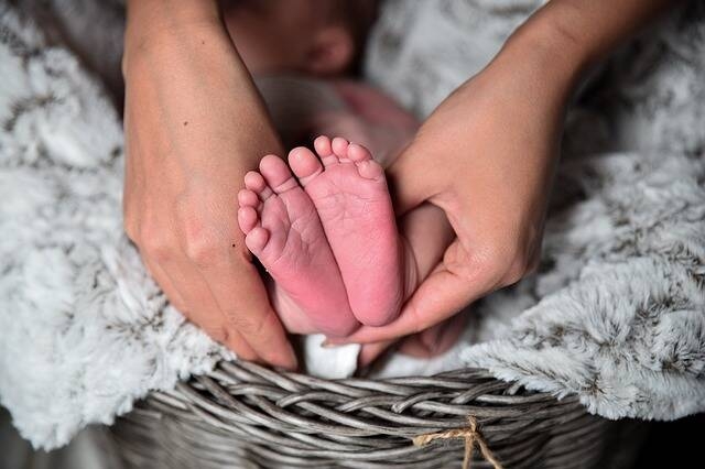Immagine: nascita