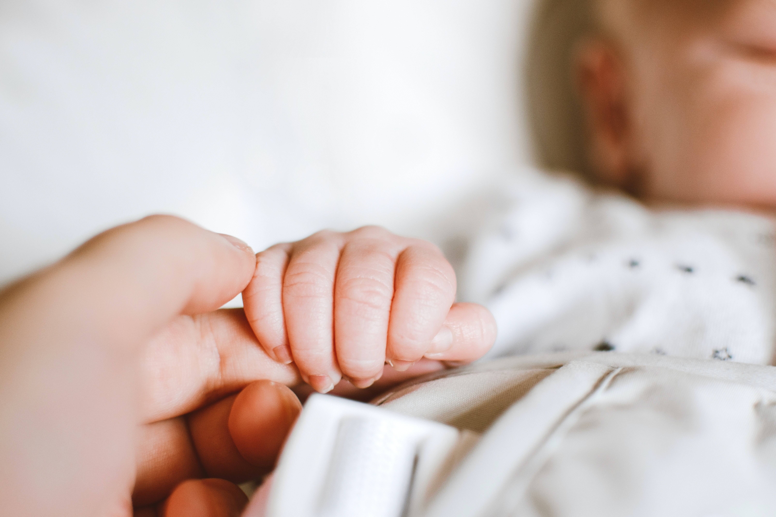 Immagine: pexels-lisa-fotios-2721581