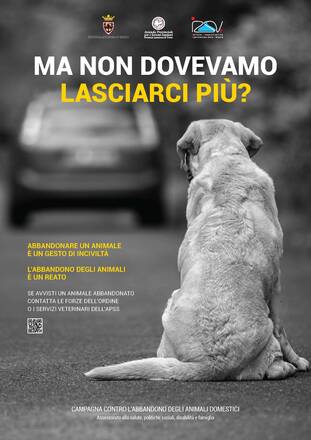 "Ma non dovevamo lasciarci più?", la campagna contro l'abbandono degli animali